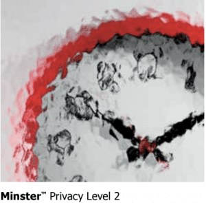 A privacy level 2 minister clock featuring glass types for doors.