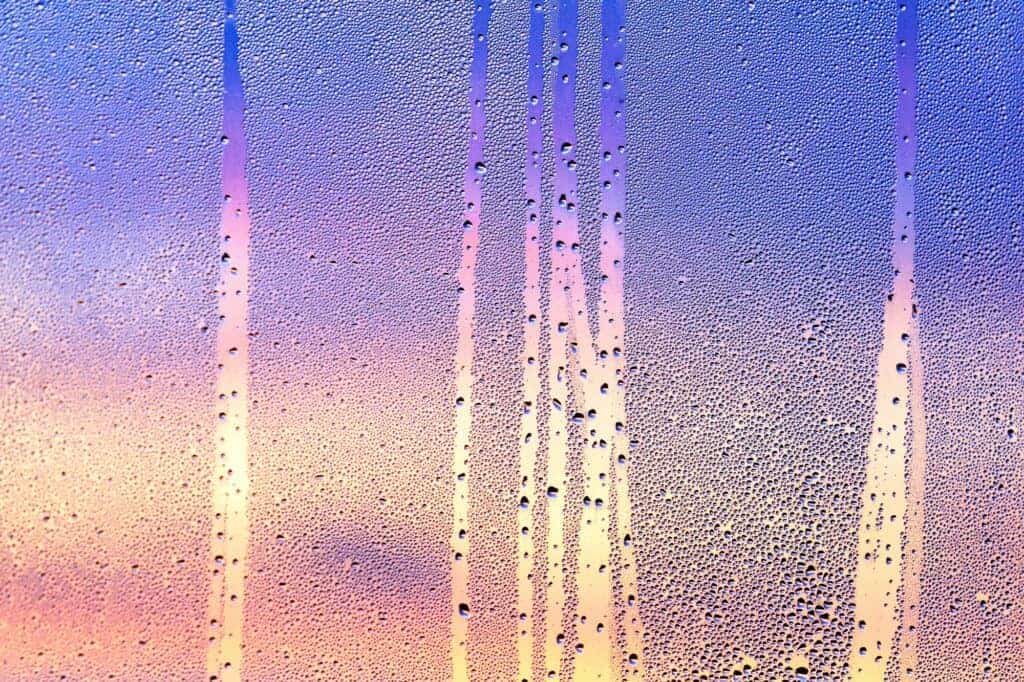 Texture of water drops on glass with magenta sunset on background. Condensation on the clear window